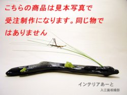 画像1: 入江廣相 / 風景葉上のショウリョウバッタ(風に吹かれてゆ〜らゆら)　