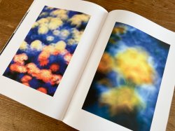 画像3: 山口一彦写真集「写真を愛でる」