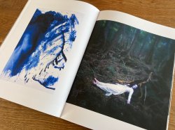画像4: 山口一彦写真集「写真を愛でる」