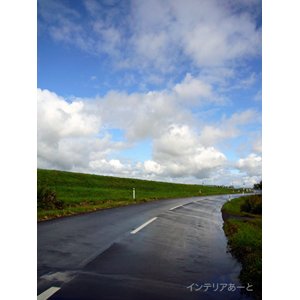 画像: 山口一彦 / 雨上がり(北海道)