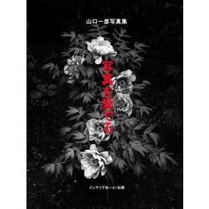 画像: 山口一彦写真集「写真を愛でる」