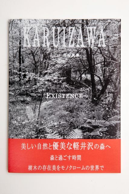 画像1: EXISTENCE  Forests of Karuizawa