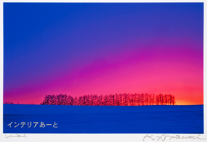 画像1: 渥美顕二 / 夕景雪原から松林