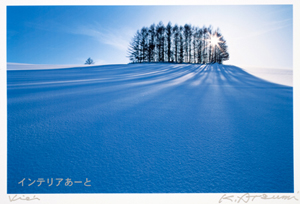 画像1: 渥美顕二 / 雪原から松太陽